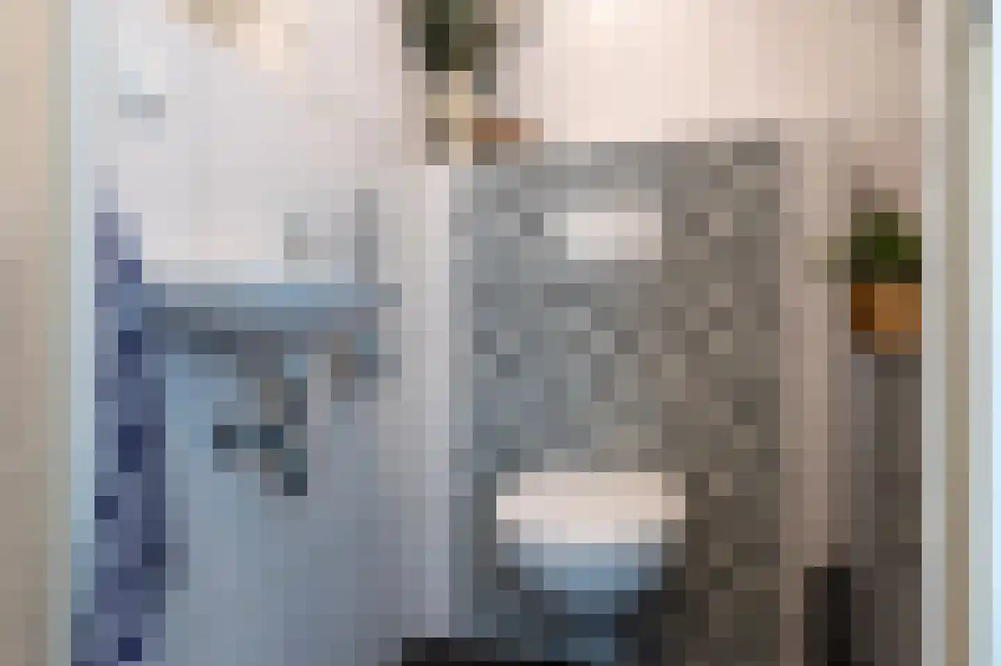 Dieptol 88 Steenwijk thumbnail 21