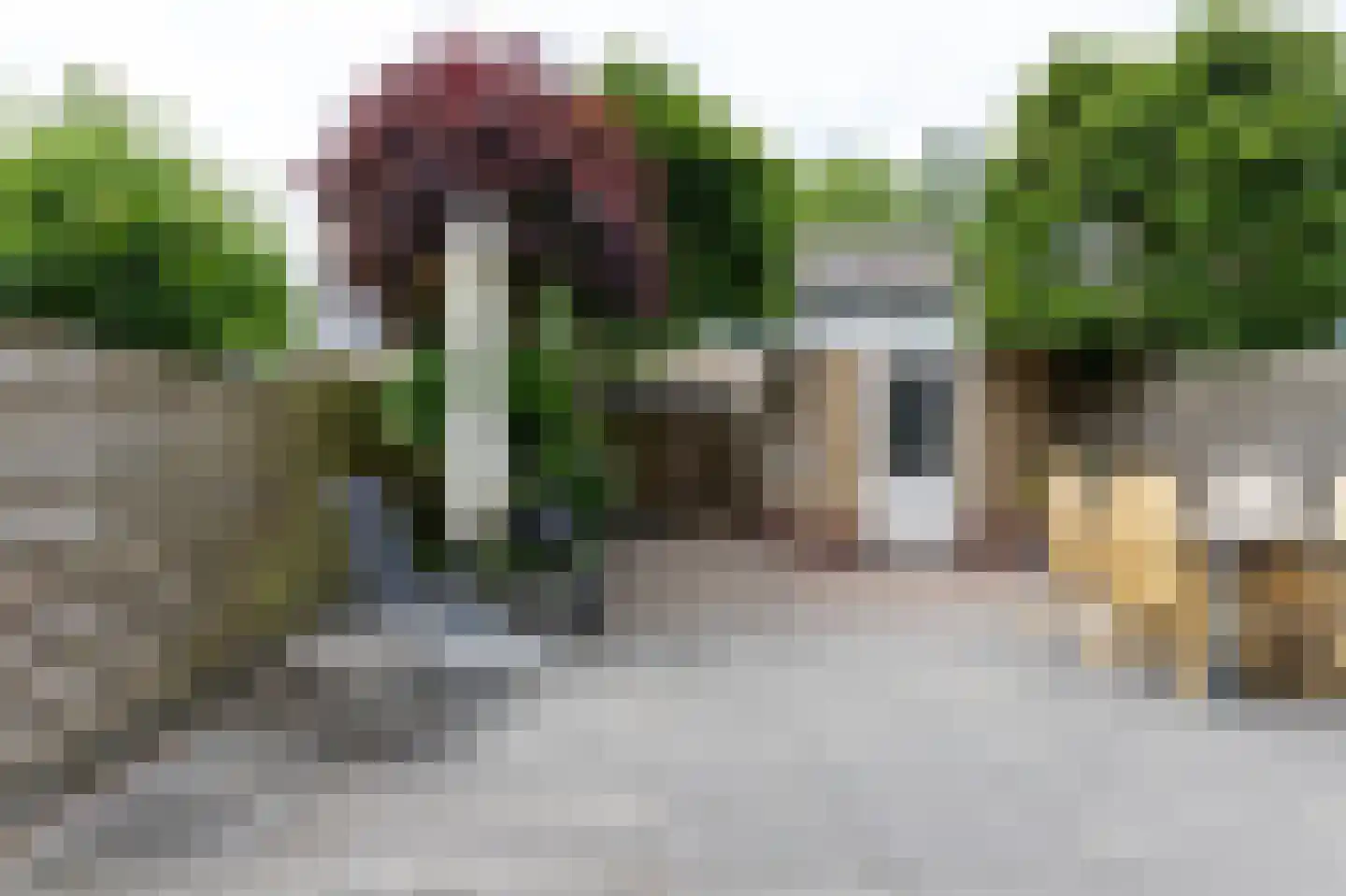 Dieptol 88 Steenwijk thumbnail 4