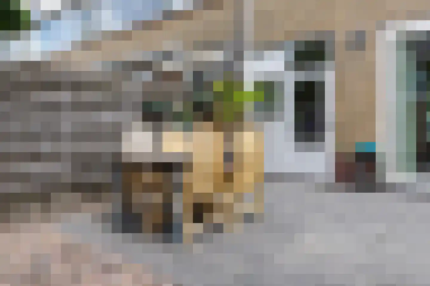 Dieptol 88 Steenwijk thumbnail 41