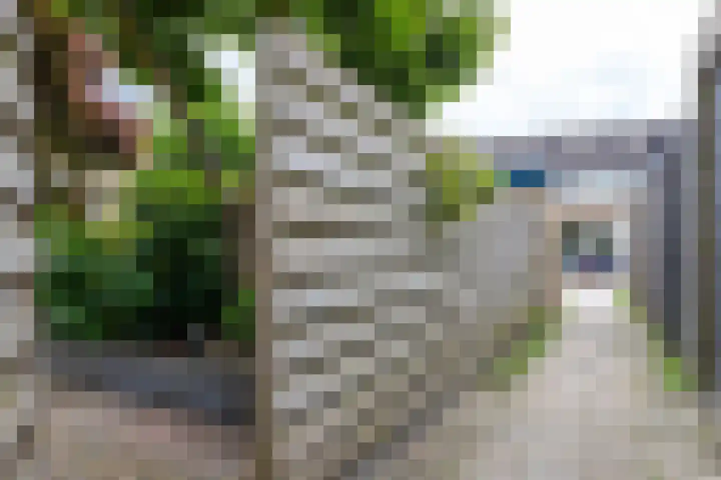 Dieptol 88 Steenwijk thumbnail 43