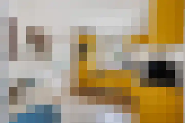 Diepven 36 Berlicum thumbnail 15