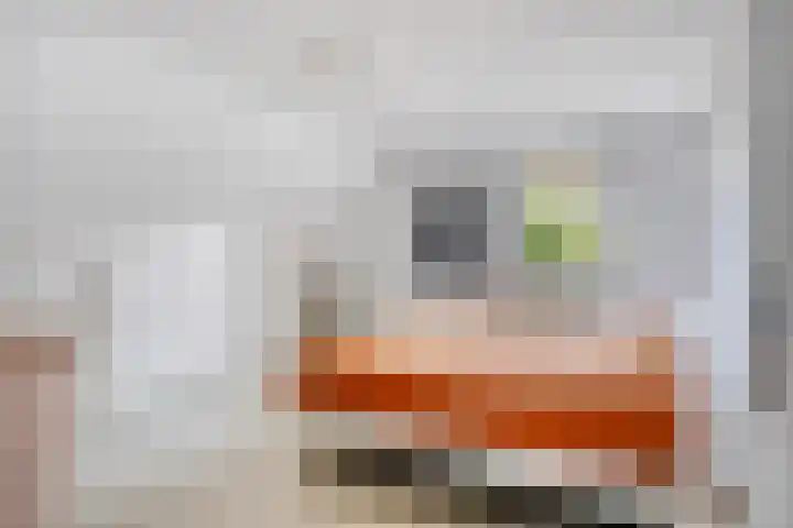 Diepven 36 Berlicum thumbnail 19