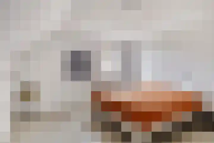 Diepven 36 Berlicum thumbnail 20