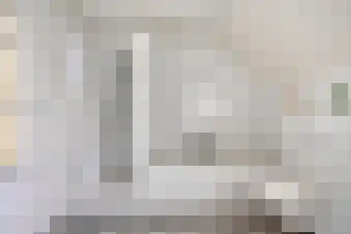 Diepven 36 Berlicum thumbnail 23