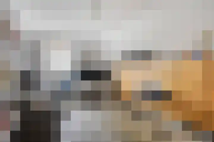 Diepven 36 Berlicum thumbnail 25