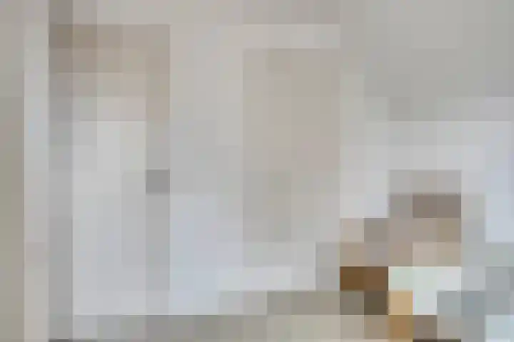 Diepven 36 Berlicum thumbnail 28