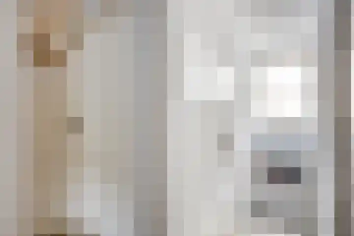 Diepven 36 Berlicum thumbnail 29