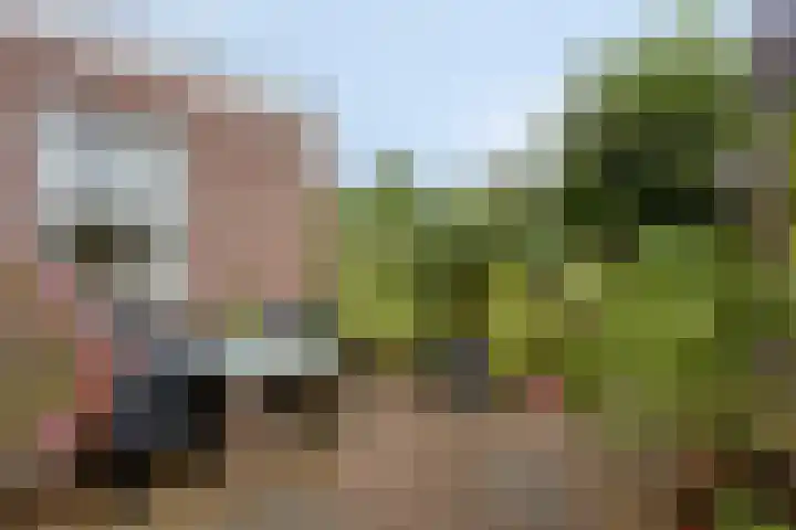 Diepven 36 Berlicum thumbnail 33