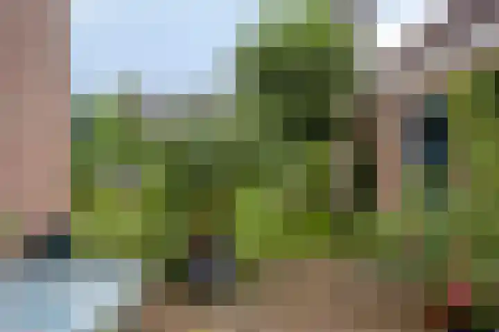 Diepven 36 Berlicum thumbnail 34