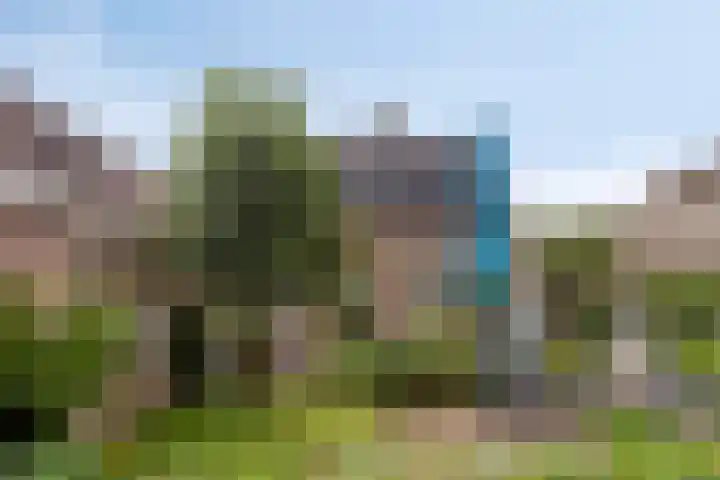 Diepven 36 Berlicum thumbnail 36