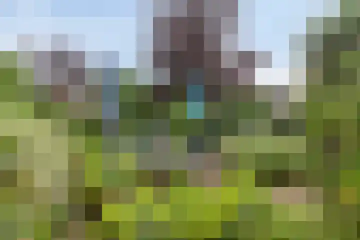 Diepven 36 Berlicum thumbnail 37