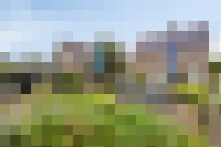 Diepven 36 Berlicum thumbnail 38