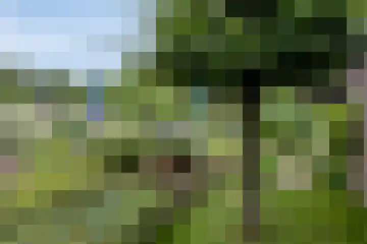 Diepven 36 Berlicum thumbnail 39