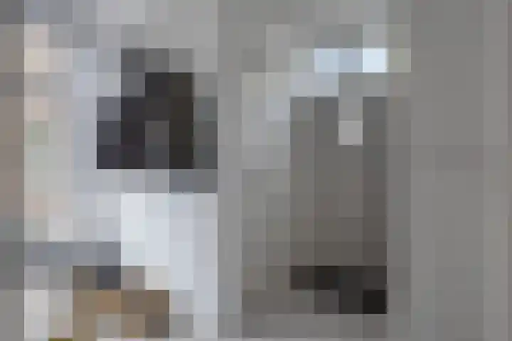 Diepven 36 Berlicum thumbnail 4