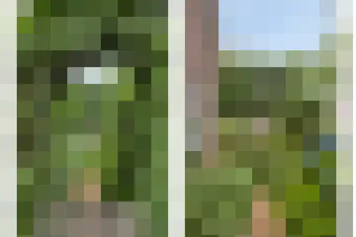 Diepven 36 Berlicum thumbnail 40