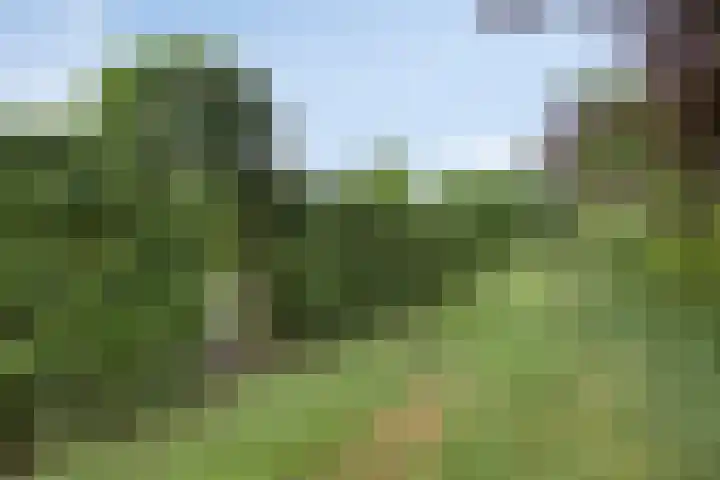Diepven 36 Berlicum thumbnail 43