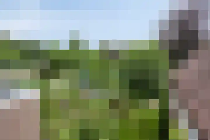Diepven 36 Berlicum thumbnail 44