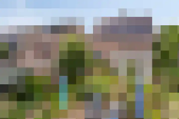 Diepven 36 Berlicum thumbnail 45
