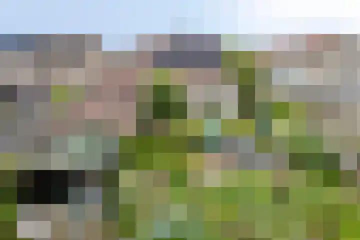 Diepven 36 Berlicum thumbnail 46