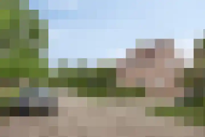 Diepven 36 Berlicum thumbnail 47