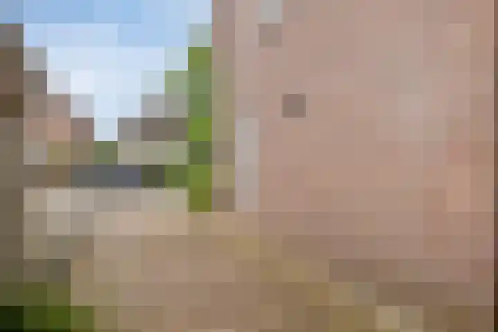 Diepven 36 Berlicum thumbnail 48