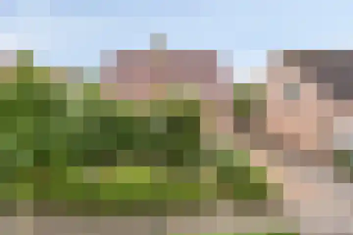 Diepven 36 Berlicum thumbnail 50