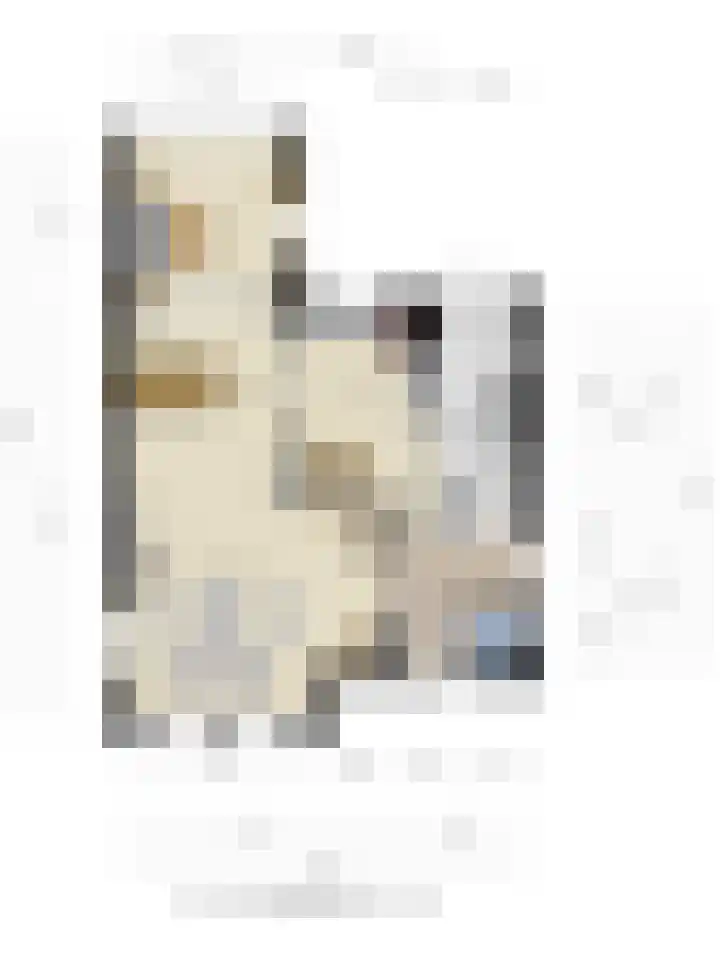Diepven 36 Berlicum thumbnail 51