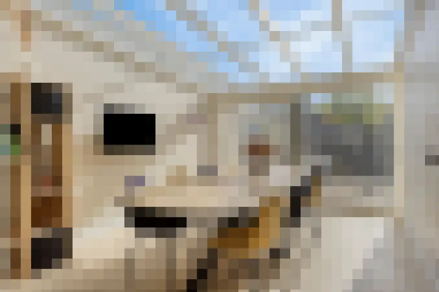 Diepven 44 Berlicum thumbnail 13