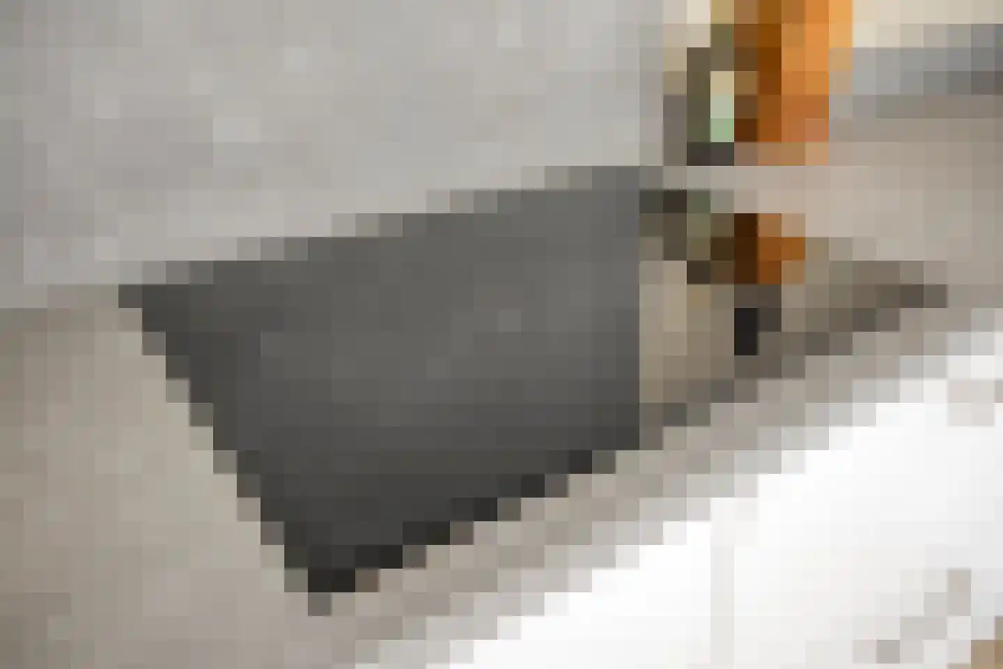 Diepven 44 Berlicum thumbnail 18