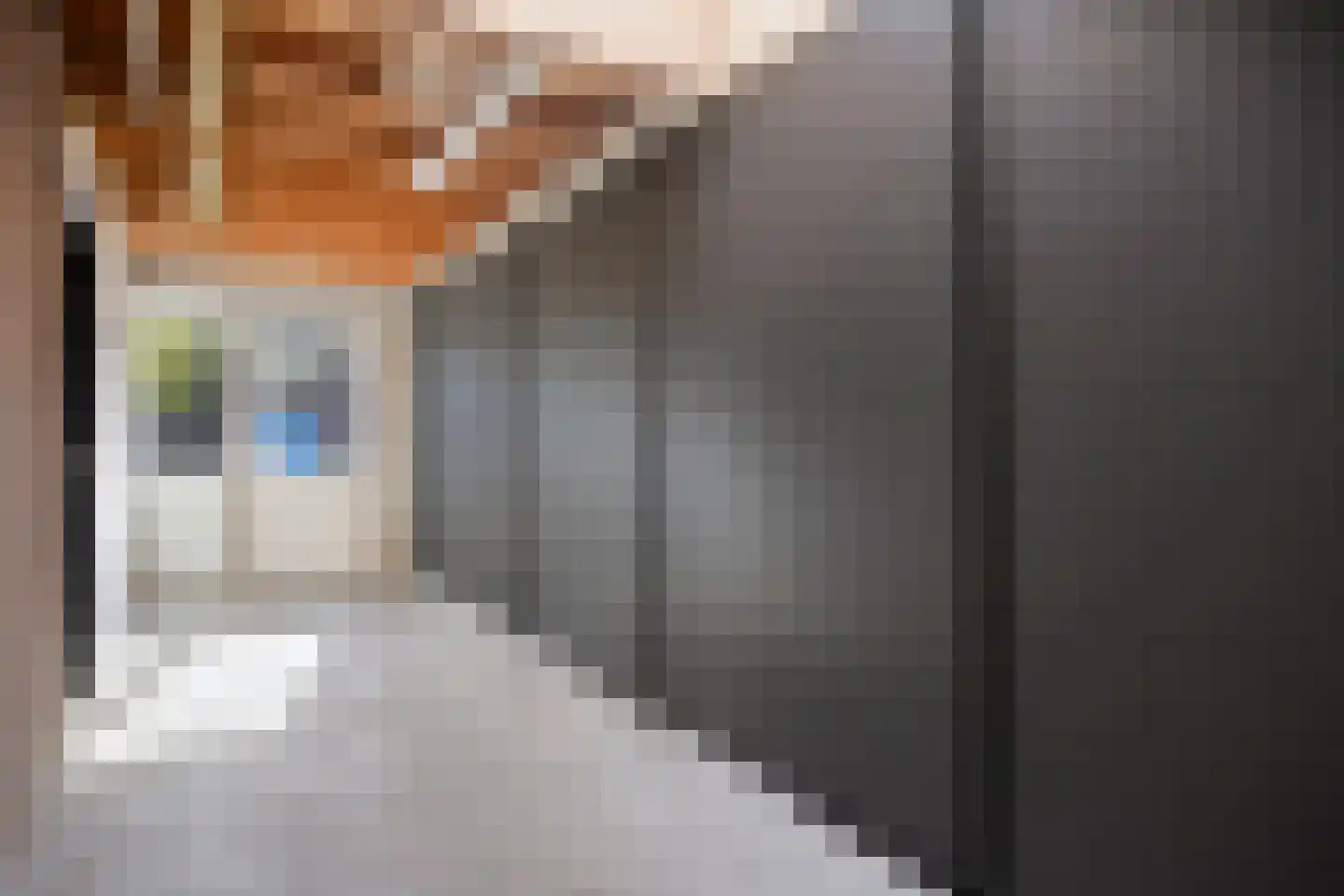 Diepven 44 Berlicum thumbnail 24