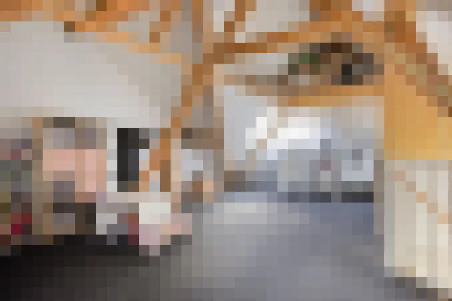 Diepven 44 Berlicum thumbnail 33