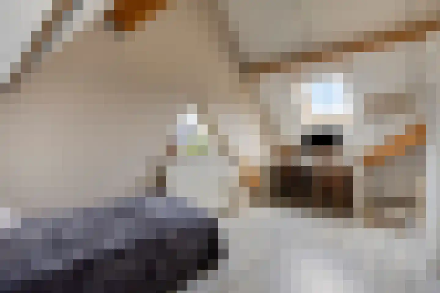 Diepven 44 Berlicum thumbnail 35