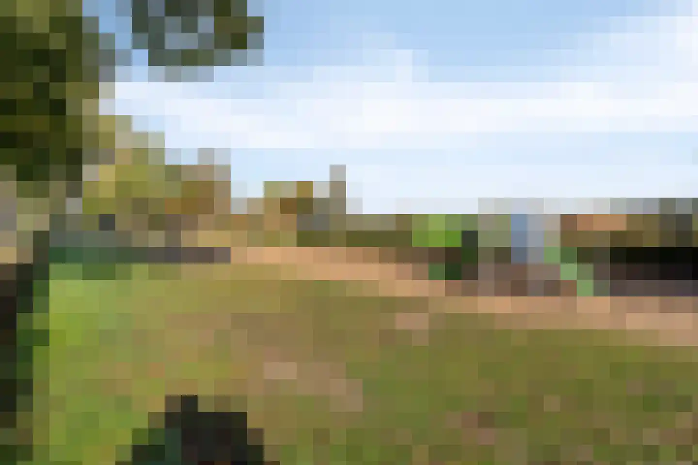 Diepven 44 Berlicum thumbnail 44