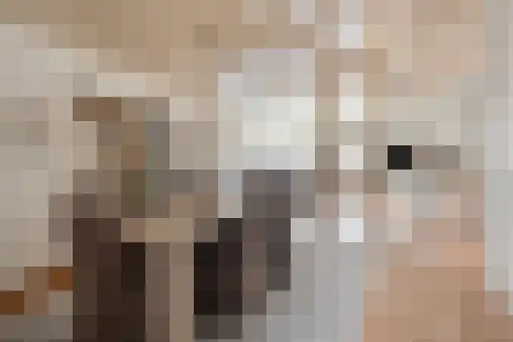 Diepvoorde 1117 Wijchen thumbnail 11