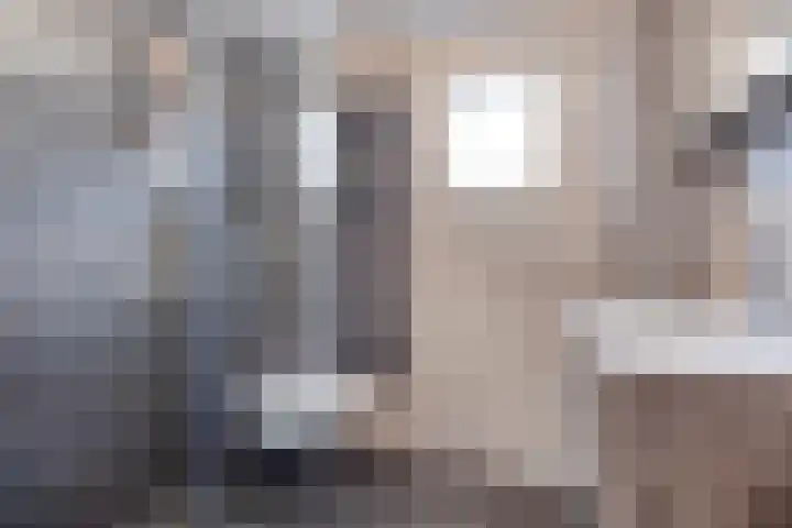 Diepvoorde 1117 Wijchen thumbnail 17