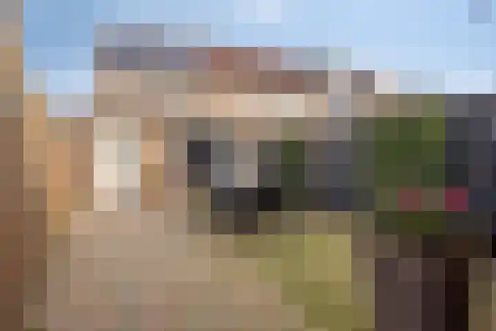Diepvoorde 1117 Wijchen thumbnail 22