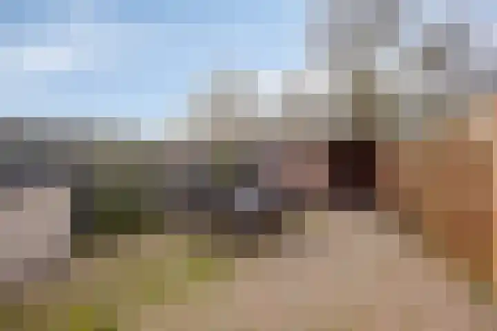 Diepvoorde 1117 Wijchen thumbnail 23
