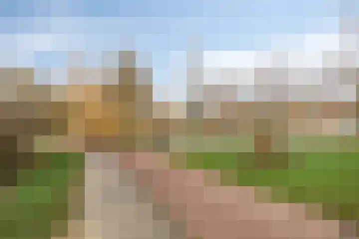 Diepvoorde 1117 Wijchen thumbnail 27