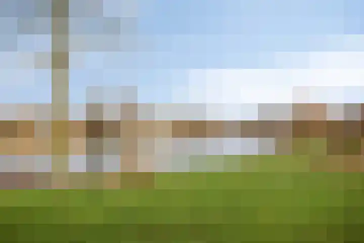 Diepvoorde 1117 Wijchen thumbnail 28