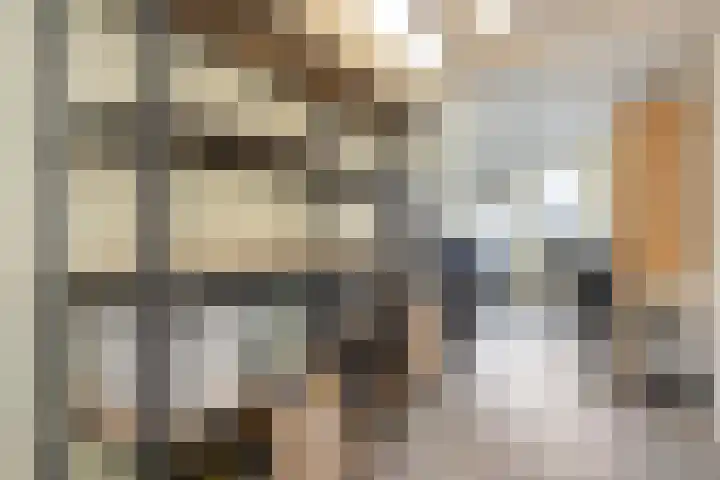 Diepvoorde 1117 Wijchen thumbnail 8