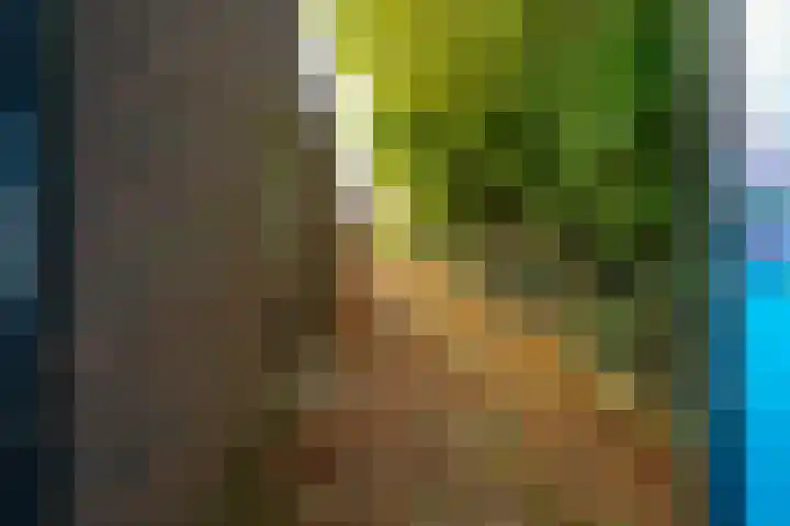 Diepvoorde 1131 Wijchen thumbnail 35