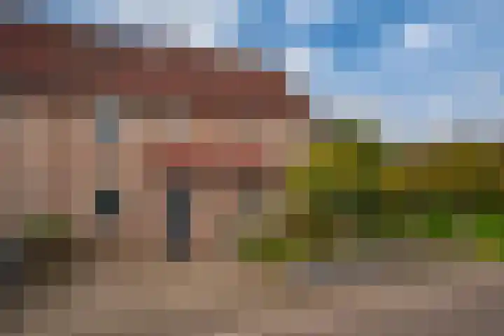 Diepvoorde 1131 Wijchen thumbnail 36