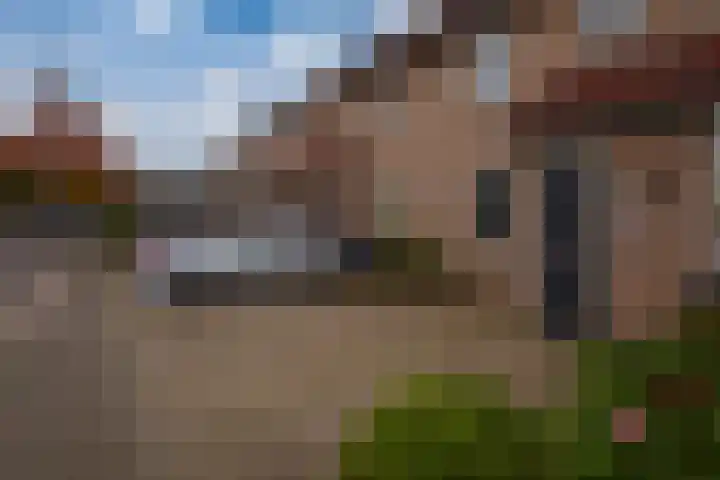 Diepvoorde 1131 Wijchen thumbnail 39