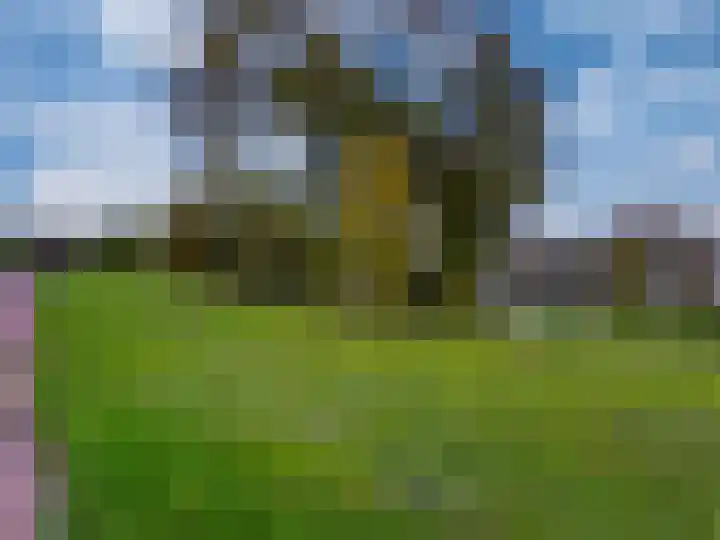 Diepvoorde 1131 Wijchen thumbnail 41