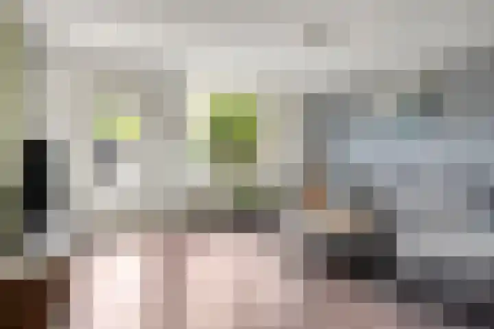 Diepvoorde 1306 Wijchen thumbnail 11