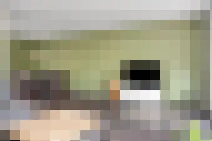 Diepvoorde 1306 Wijchen thumbnail 13
