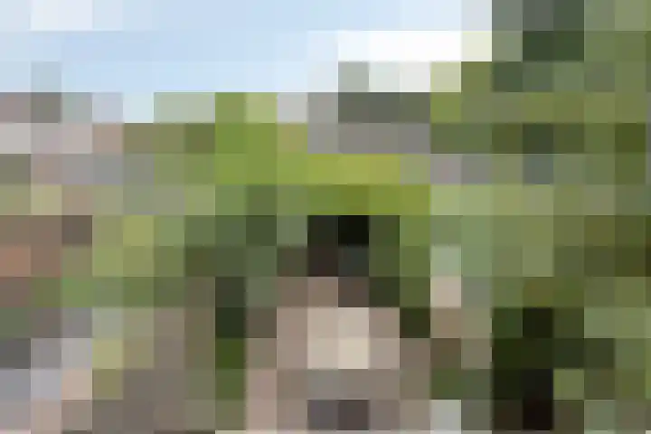 Diepvoorde 1306 Wijchen thumbnail 20