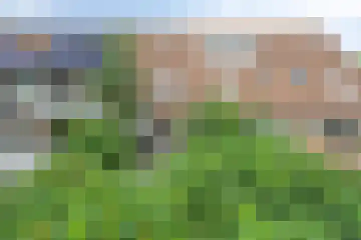 Diepvoorde 1306 Wijchen thumbnail 32