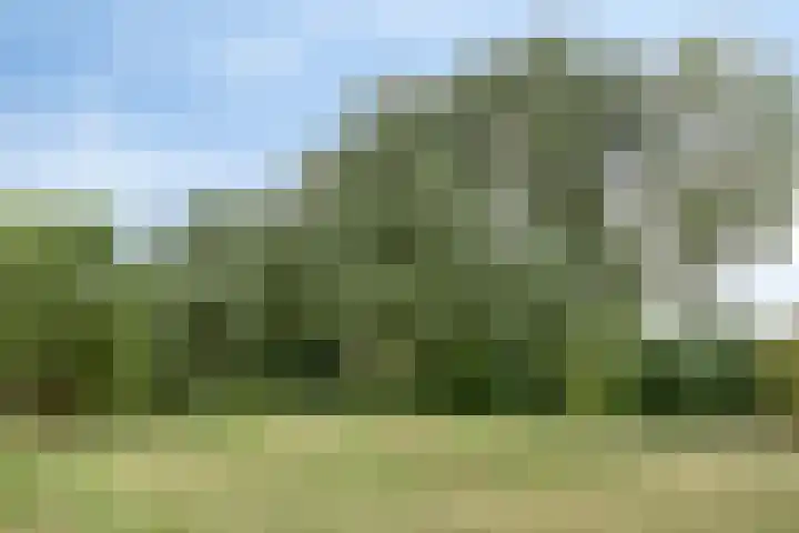 Diepvoorde 1306 Wijchen thumbnail 34