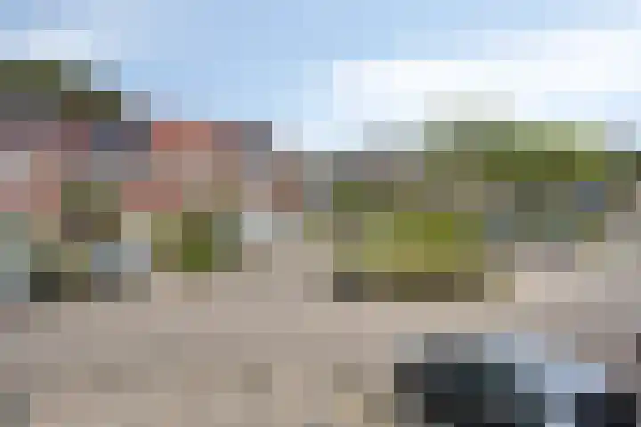 Diepvoorde 1306 Wijchen thumbnail 35